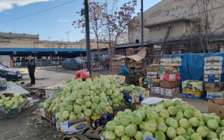 Slika dana: ZAKASNELI KUPUS – 90 DIN.