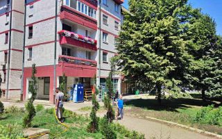 Slika dana: LIPE CVATE, STIŽE LETO