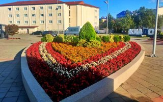 Slika dana: CVETNO SRCE NA OBALI DUNAVA