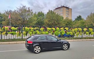 Slika dana: ZELENA ZAŠTITNA OGRADA U CENTRU BORA
