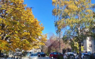 Slika dana: ZLATNA JESEN