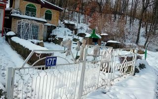 Slika dana: MANJE SNEGA, VIŠE POLEDICE