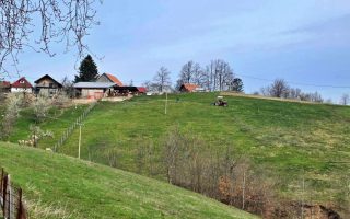 Slika dana: ZELENI SE ZLATNA PLANINA