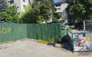 Slika dana: CVEĆE PORED KONTEJNERA