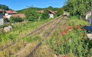 Slika dana: PROLEĆE NA PRUZI