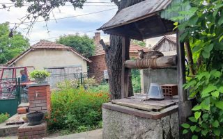 Slika dana: ODMOR NA STAROM BUNARU