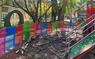 Slika dana: PALA GRANA U PARKU RAKETA“, IZBEGNUTE POSLEDICE!