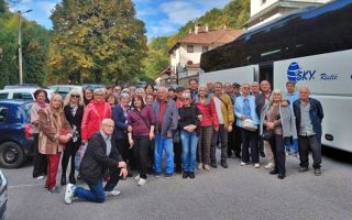 Slika dana: BORSKI PENZIONERI NA BERBI GROŽĐA